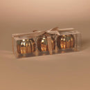 Gerson 3 in. Harvest Lanterns Fall Decor