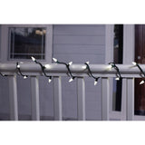 Celebrations Classic LED C6 Pure White 300 ct String Christmas Lights 74.5 ft.