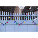 Celebrations Classic LED C9 Multicolored 75 ct String Christmas Lights 49 ft.