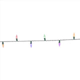 Celebrations Classic LED C6 Multicolored/Warm White 50 ct String Christmas Lights 16 ft.