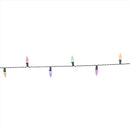 Celebrations Classic LED C6 Multicolored/Warm White 50 ct String Christmas Lights 16 ft.