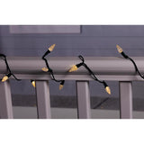 Celebrations Classic LED C6 Multicolored/Warm White 50 ct String Christmas Lights 16 ft.