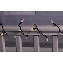 Celebrations Classic LED C6 Multicolored/Warm White 50 ct String Christmas Lights 16 ft.