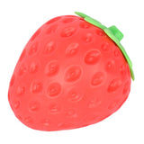 Fun Garden Squishy Strawberry Fidget Toy Red