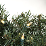 Celebrations 24 in. D LED Prelit Mixed Pine Wreath