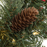 Celebrations 24 in. D LED Prelit Mixed Pine Wreath