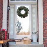 Celebrations 24 in. D LED Prelit Mixed Pine Wreath