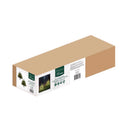 Celebrations LED Warm White Walkway Cascade 24 in. Christmas Tree