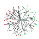 Celebrations LED Green/Red Shimmering Sphere 12 in. Hanging Decor