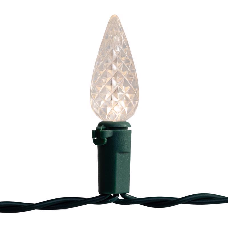 Celebrations Platinum LED C6 Multicolored/Warm White 50 ct String w/ Powerbank Christmas Lights