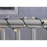 Celebrations Platinum LED C6 Multicolored/Warm White 50 ct String w/ Powerbank Christmas Lights