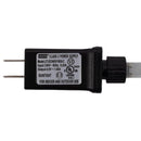 Celebrations LED Warm White Globe Ornament 6 in. Hanging Decor