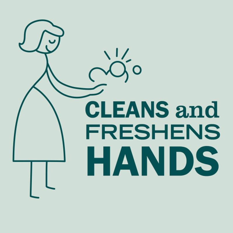 Mrs. Meyer's Clean Day Birchwood Scent Liquid Hand Soap 33 oz