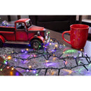 Celebrations LED Rice Multicolored/Warm White 50 ct Christmas Lights 16 ft.