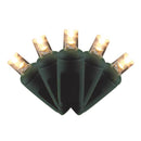 Celebrations LED Grand Mini Warm White 50 ct String Christmas Lights 25 ft.