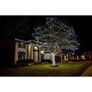 Celebrations LED Grand Mini Pure White 50 ct String Christmas Lights 25 ft.