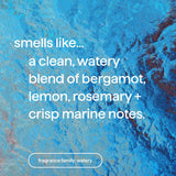 Method Sea Minerals Scent Gel Hand Wash 34 oz