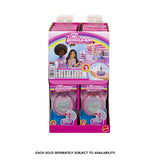 Mattel Mini Barbie Land Dolls