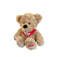 Warmies Bear Stuffed Toy