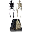 Fun World Skeleton Halloween Decor
