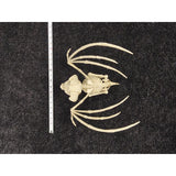 Decra Lite Skeleton Bat Halloween Decor