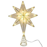 Celebrations LED Warm White Star of Bethlehem Tree Topper 12 in.