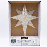 Celebrations LED Warm White Star of Bethlehem Tree Topper 12 in.