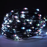 Celebrations LED Micro Multicolored String Lights w/Remote Christmas Lights 65.3 ft.