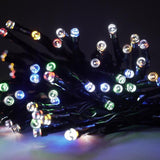 Celebrations LED Mini Multicolored String Lights w/Remote Christmas Lights 164 ft.