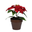 Celebrations Potted Poinsettia 10 in.