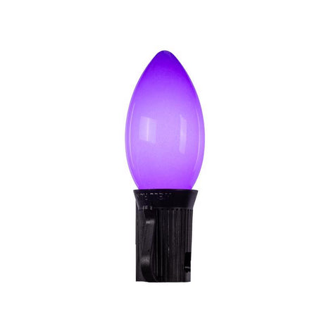 Celebrations Purple 25 ct LED Classic Halloween C9 Lights
