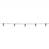 Celebrations Purple 25 ct LED Classic Halloween C9 Lights