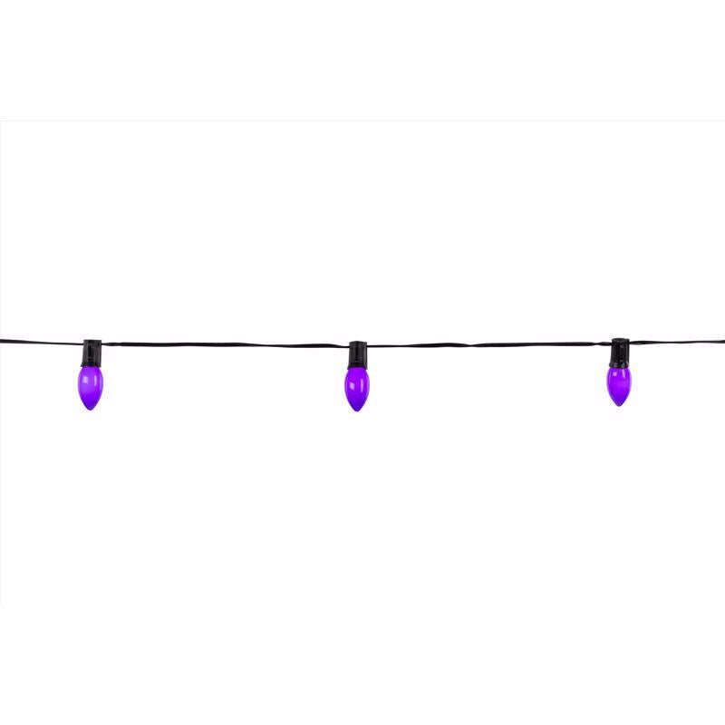 Celebrations Purple 25 ct LED Classic Halloween C9 Lights