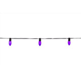 Celebrations Purple 25 ct LED Classic Halloween C9 Lights