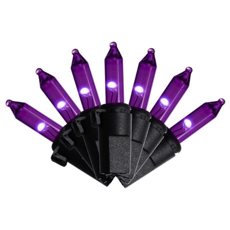 Celebrations Purple 300 ct LED Halloween T5 Purple Classic Lights