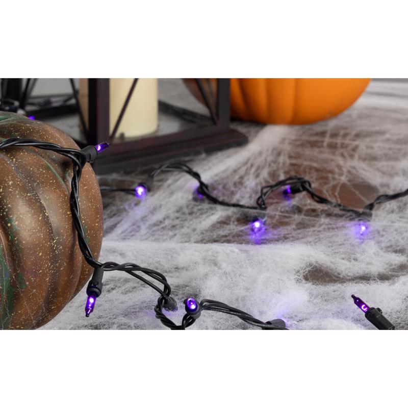 Celebrations Purple 300 ct LED Halloween T5 Purple Classic Lights