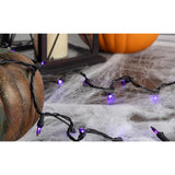 Celebrations Purple 300 ct LED Halloween T5 Purple Classic Lights