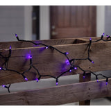 Celebrations Purple 300 ct LED Halloween T5 Purple Classic Lights