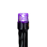 Celebrations Orange/Purple 32 in. Double Twinkle Light Burst Halloween Decor