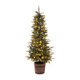 Celebrations 4 ft. Slim LED 150 ct Monterey Spruce Sparkle w/ Barrel Entrance Tree