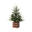 Celebrations 3 ft. Full LED 50 ct Fraser Fir w/ Wood Box Color Changing Entrance Tree