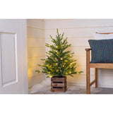 Celebrations 3 ft. Full LED 50 ct Fraser Fir w/ Wood Box Color Changing Entrance Tree