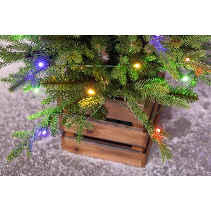 Celebrations 3 ft. Full LED 50 ct Fraser Fir w/ Wood Box Color Changing Entrance Tree