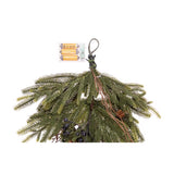 Celebrations 20 in. D X 3 ft. L LED Clear/Warm White Rustic Norfolk Teardrop Swag