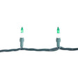 Celebrations LED T5 Holly Green/White 70 ct Two-Tone Christmas Lights 17.25 ft.