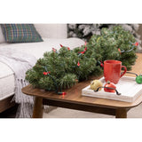Celebrations Red 25 ct Cardinal Christmas Lights 8 ft.