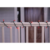 Celebrations Red 25 ct Cardinal Christmas Lights 8 ft.