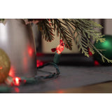 Celebrations Red 25 ct Cardinal Christmas Lights 8 ft.
