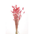 Second Nature Red Bunny Tails Table Decor