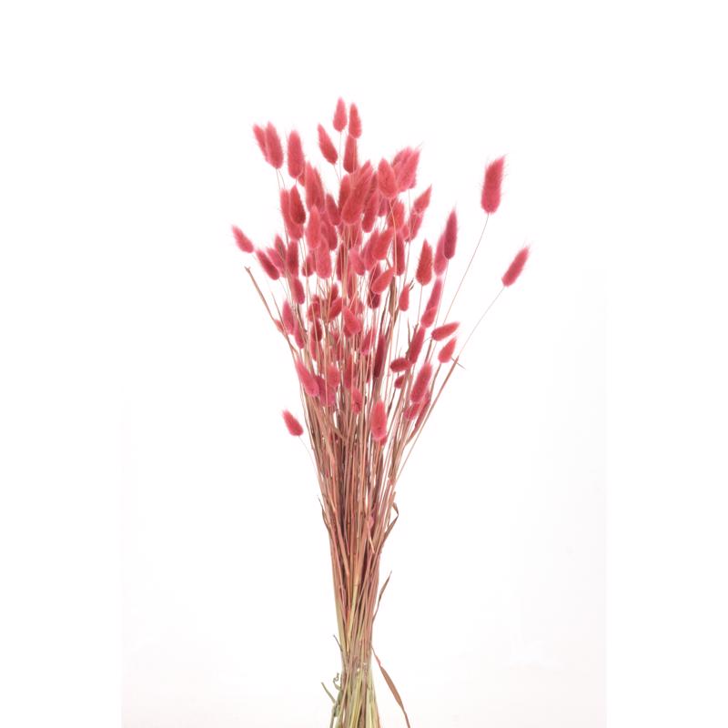 Second Nature Red Bunny Tails Table Decor